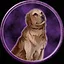 Finally free icon