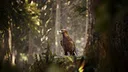 Photography Simulator Screenshot 5