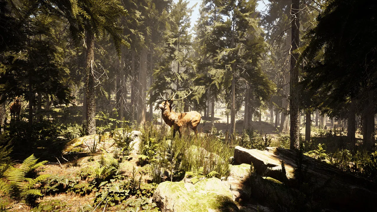Photography Simulator Screenshot 8