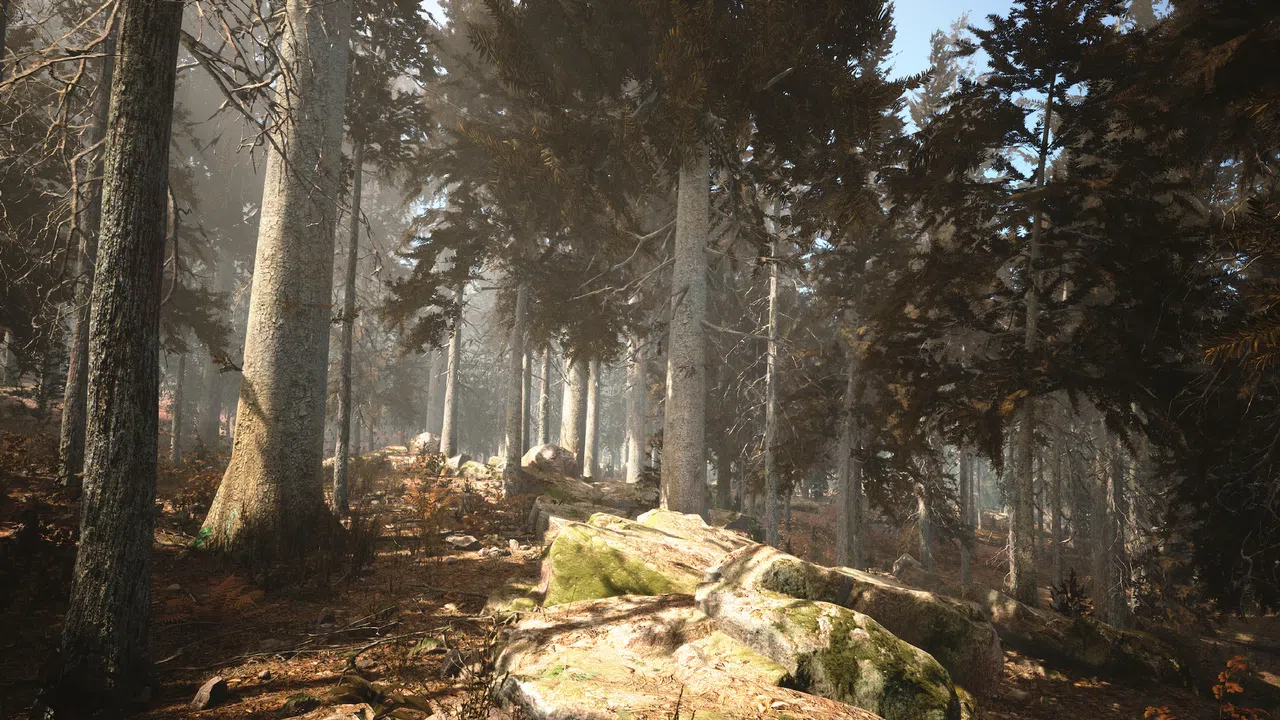 Photography Simulator Screenshot 3