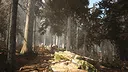 Photography Simulator Screenshot 3