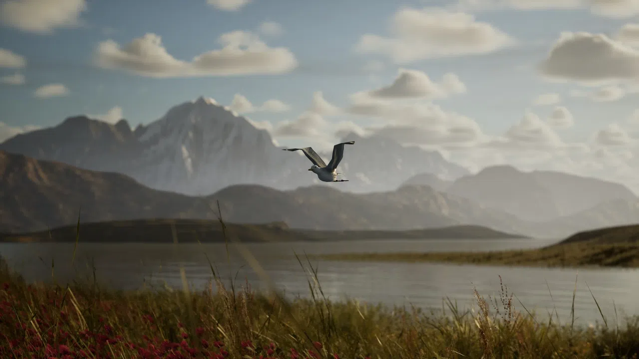 Photography Simulator Screenshot 11