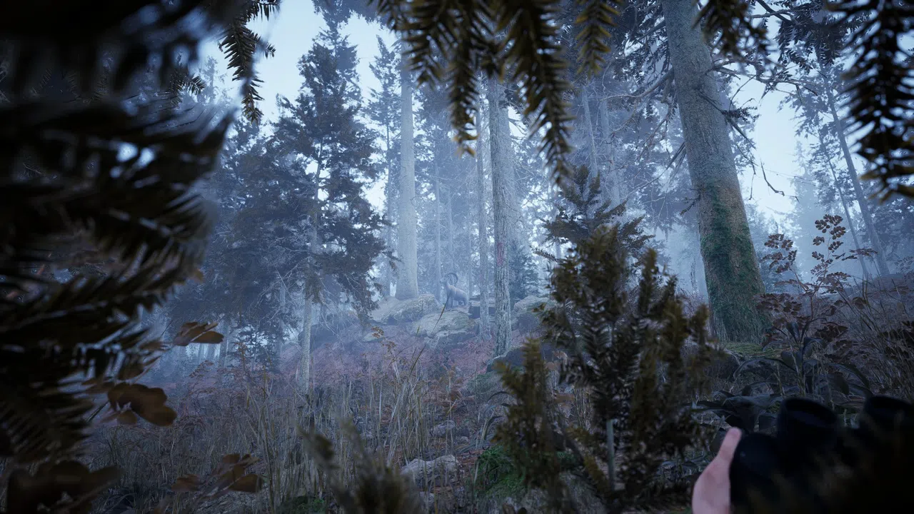 Photography Simulator Screenshot 7