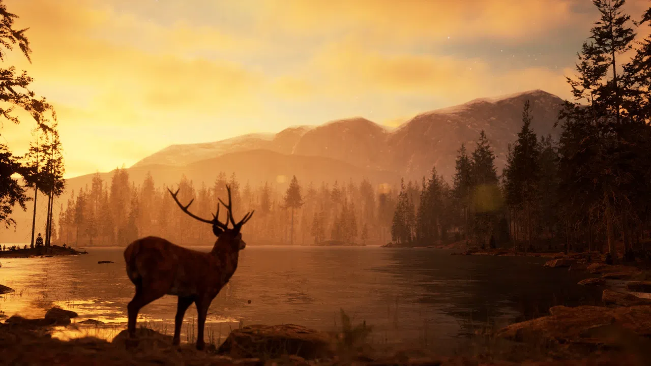 Photography Simulator Screenshot 10