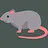 Lab Rat