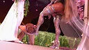 Futa Heim Screenshot 7