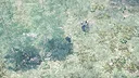 Isolation Edge Screenshot 4