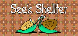 Seek Shellter