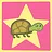Helping Tiddles the Tortoise.