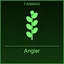 Angler icon