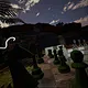 Four Kings One War Screenshot 17