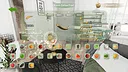 Fresh Food Merge Demo Screenshot 6