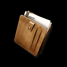 Careful Budgeting icon