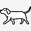 Splinter icon
