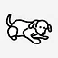 Rabelo icon
