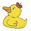 King of My Duck  icon