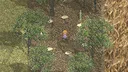 Minnow Screenshot 3