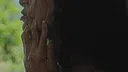 Prove You're Human Screenshot 2