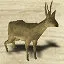 Hunter icon