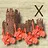 Barbarian Raids X