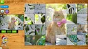 Puzzle Box: 10-in-1 Puzzle Collection Screenshot 5