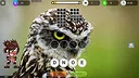 Puzzle Box: 10-in-1 Puzzle Collection Screenshot 0