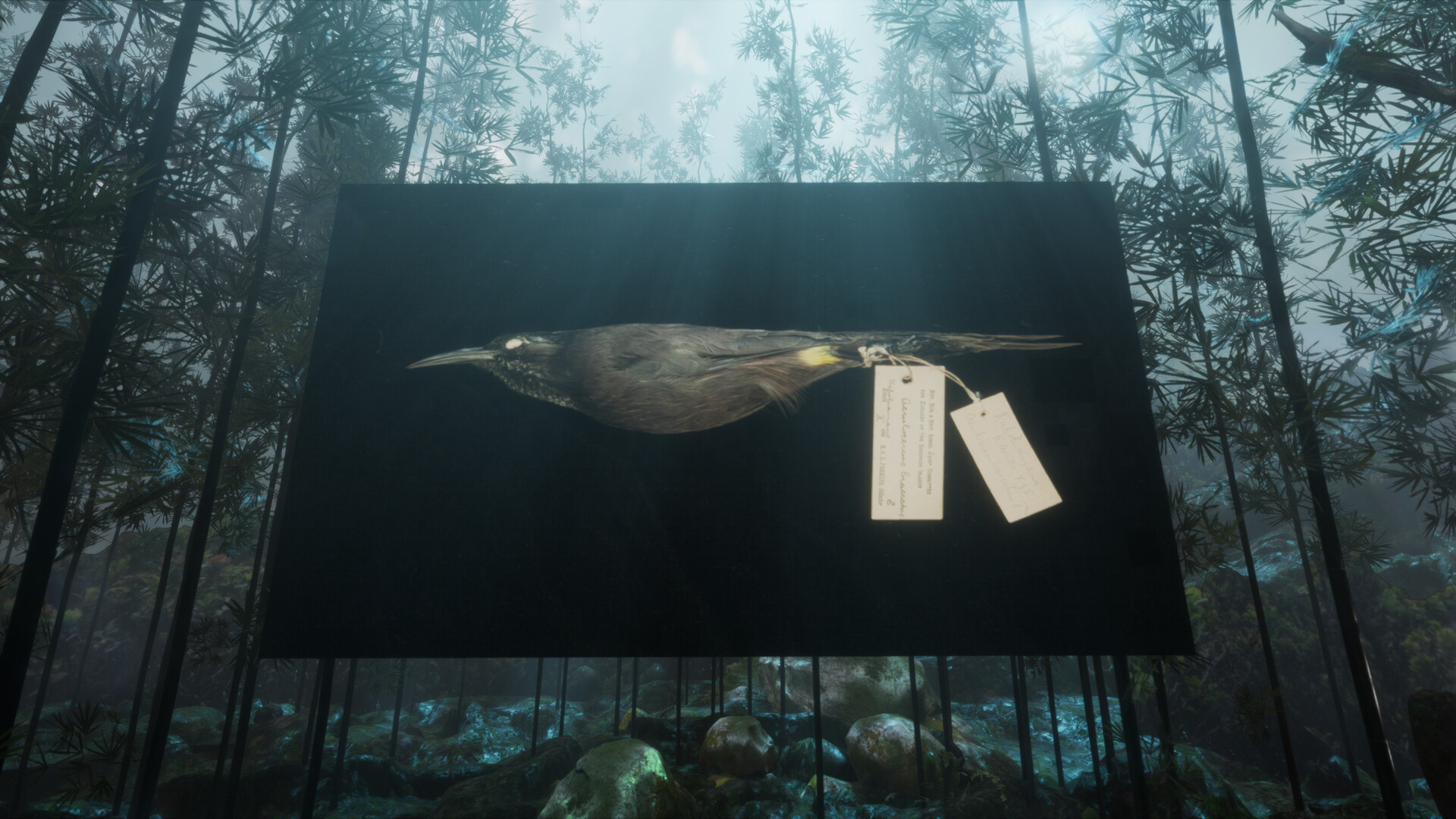 RE-ANIMATED Screenshot 3