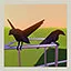 The Crows icon