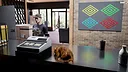 Cat Life Simulator Demo Screenshot 6