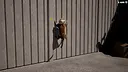 Cat Life Simulator Demo Screenshot 7