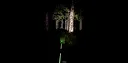 Alone In The Forest VR Screenshot 5