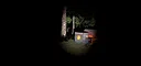 Alone In The Forest VR Screenshot 3