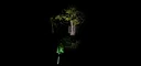 Alone In The Forest VR Screenshot 0