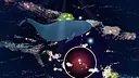 Fish Lab Demo Screenshot 8