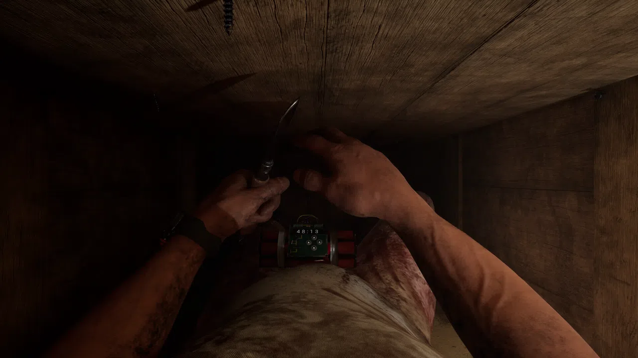 SINVAULT Screenshot 7