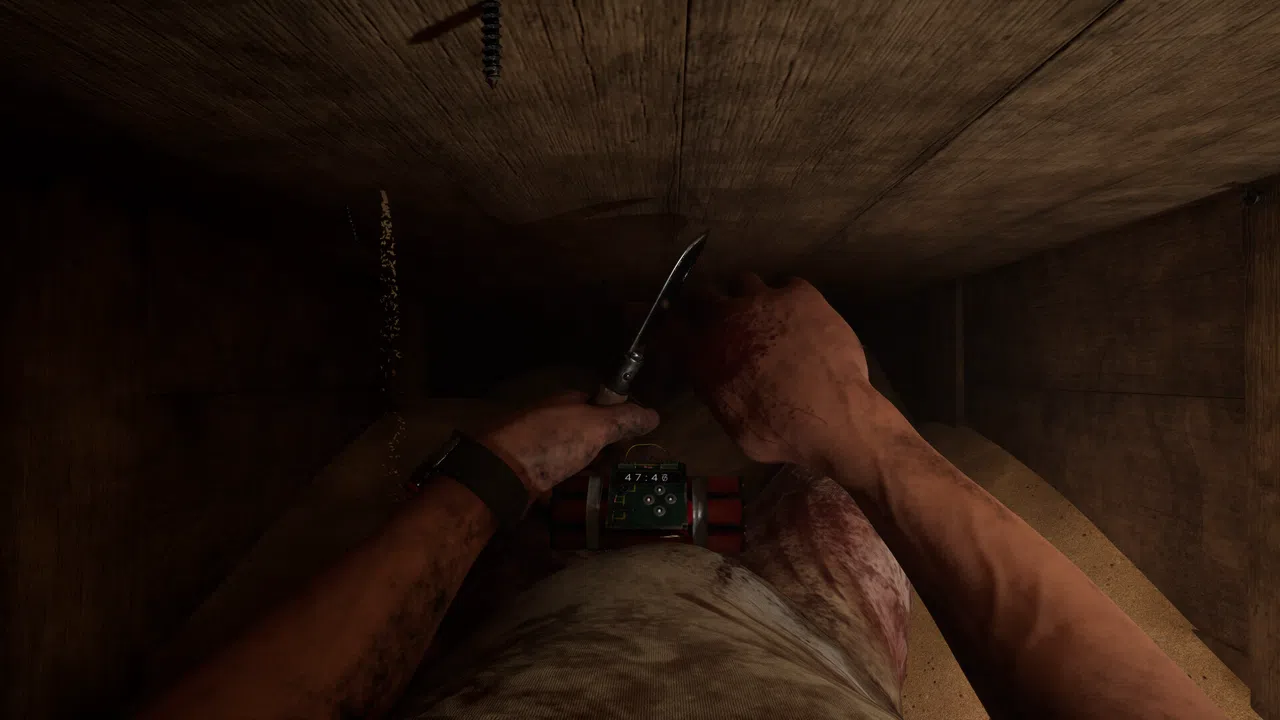 SINVAULT Screenshot 2