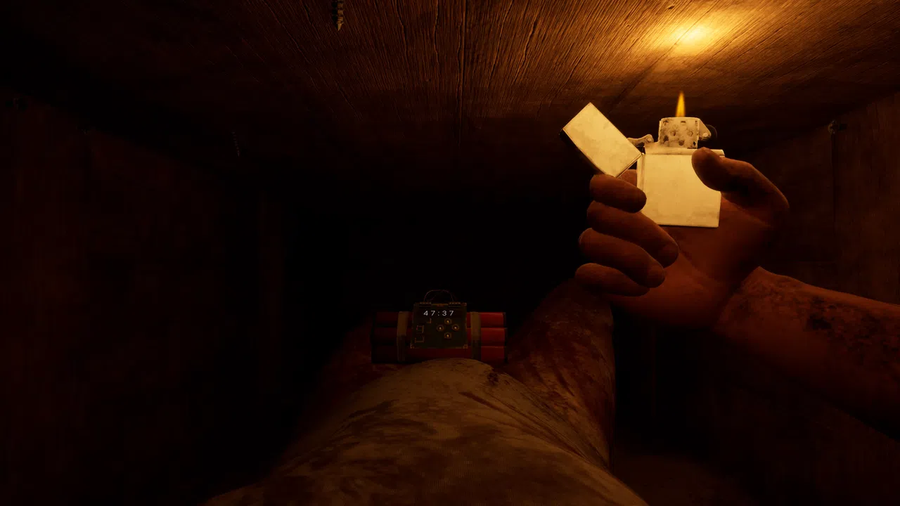 SINVAULT Screenshot 0