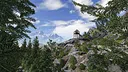Out of the Ashes Demo Screenshot 12