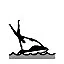 Water Show icon