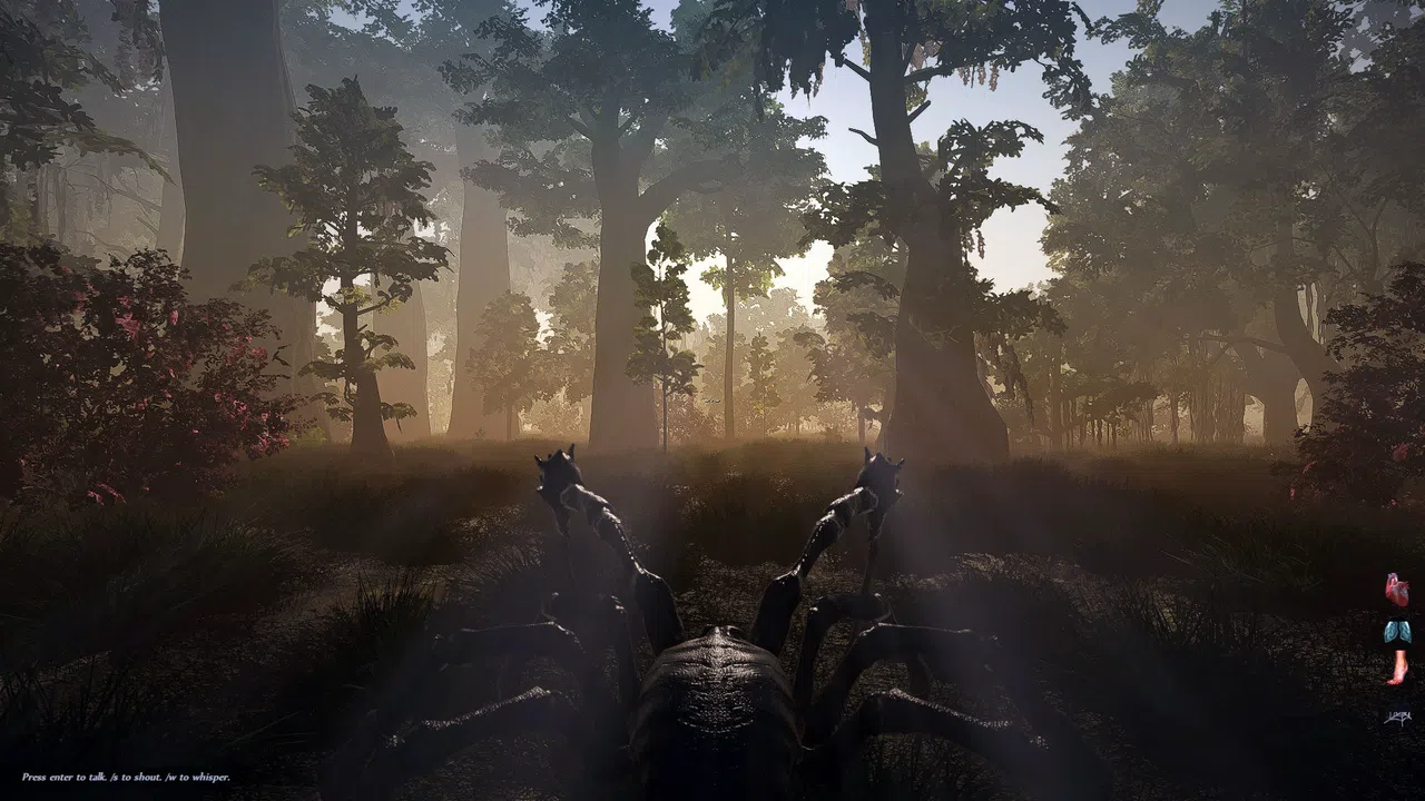 Trials of Ascension: Exile Screenshot 9