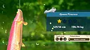 Fishing Star World Tour Screenshot 1
