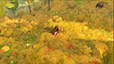 The Kingsward Screenshot 9