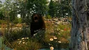 Capture The Wild Screenshot 1