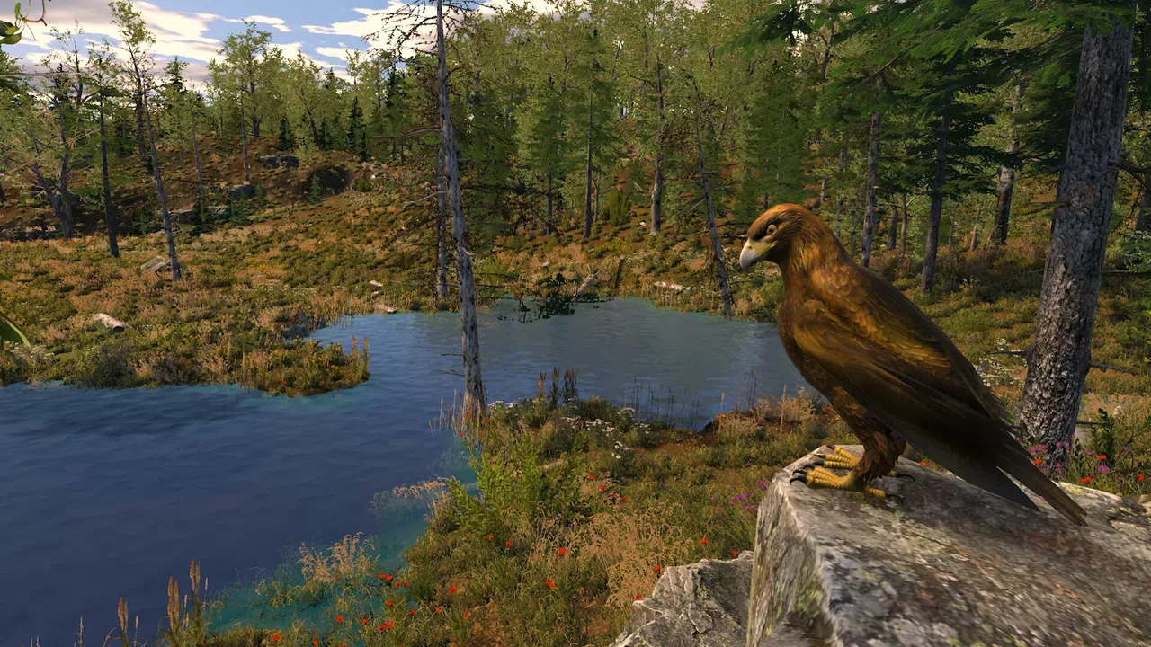 Capture The Wild Screenshot 5