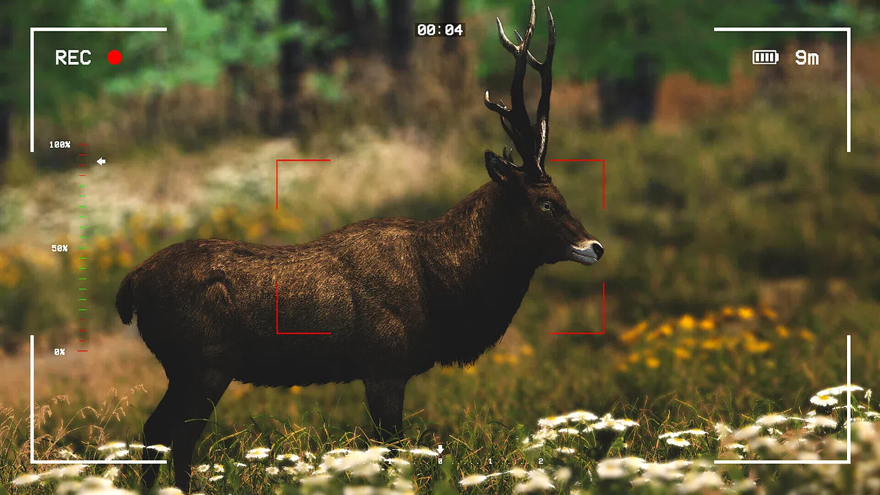 Capture The Wild Screenshot 4