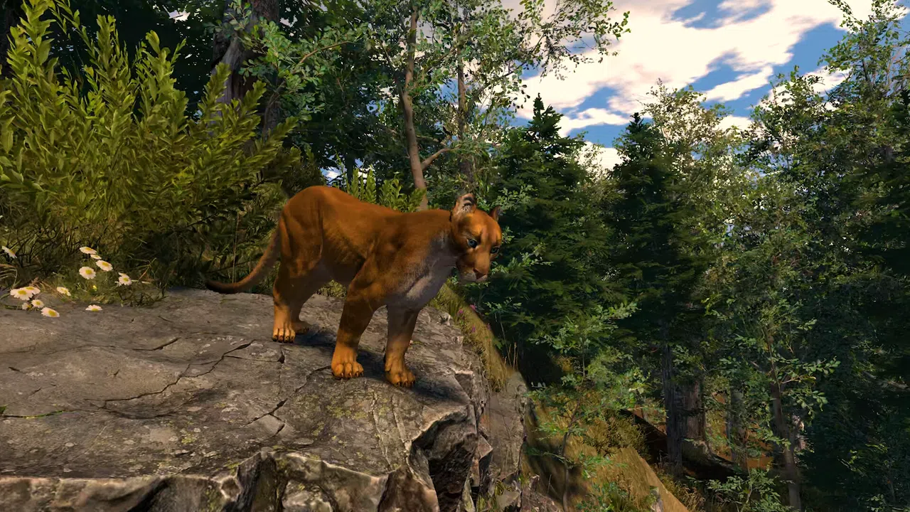 Capture The Wild Screenshot 2