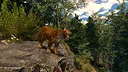 Capture The Wild Screenshot 2