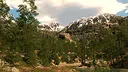 Capture The Wild Screenshot 7