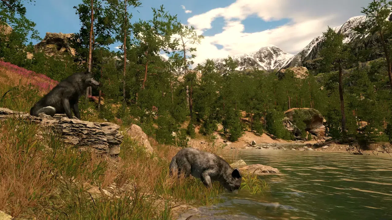 Capture The Wild Screenshot 0