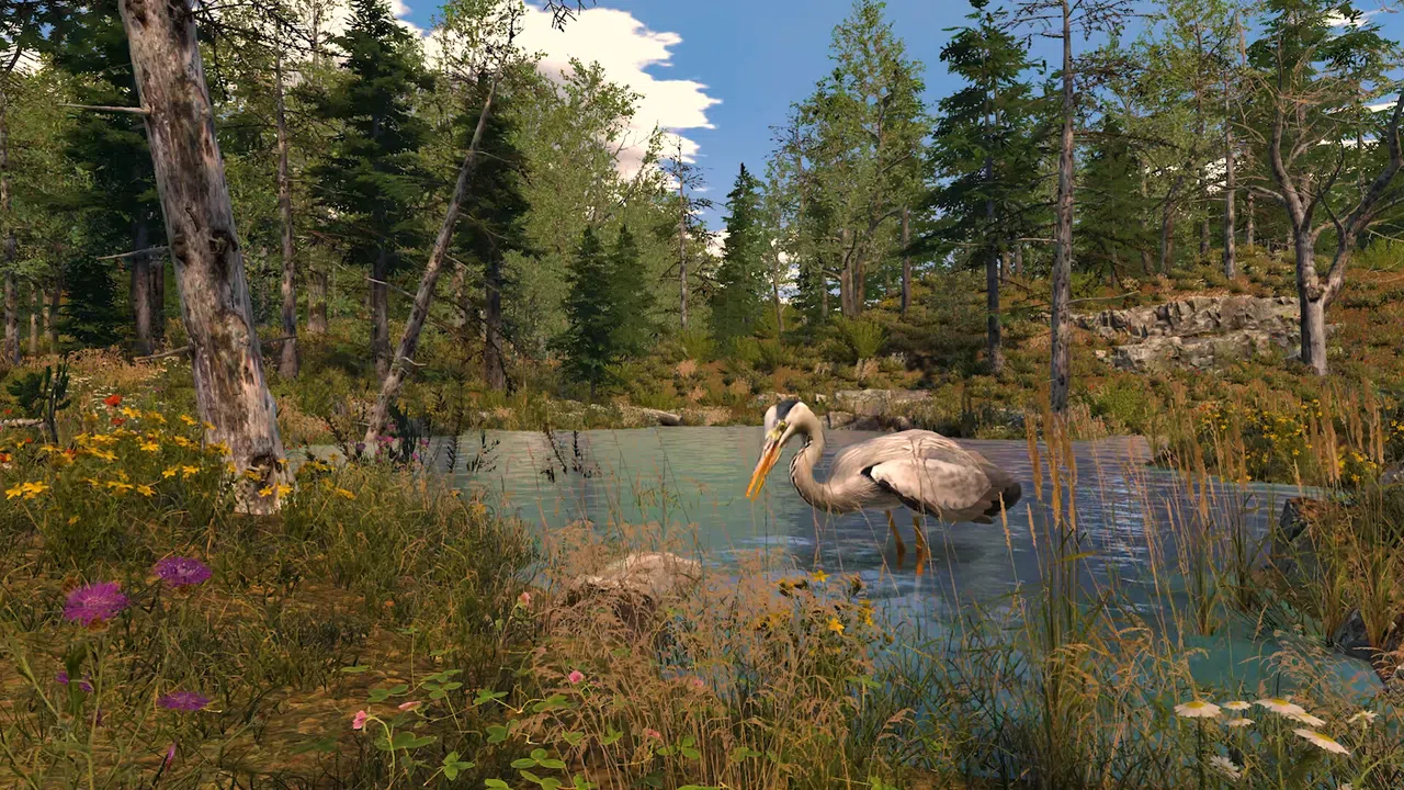 Capture The Wild Screenshot 6